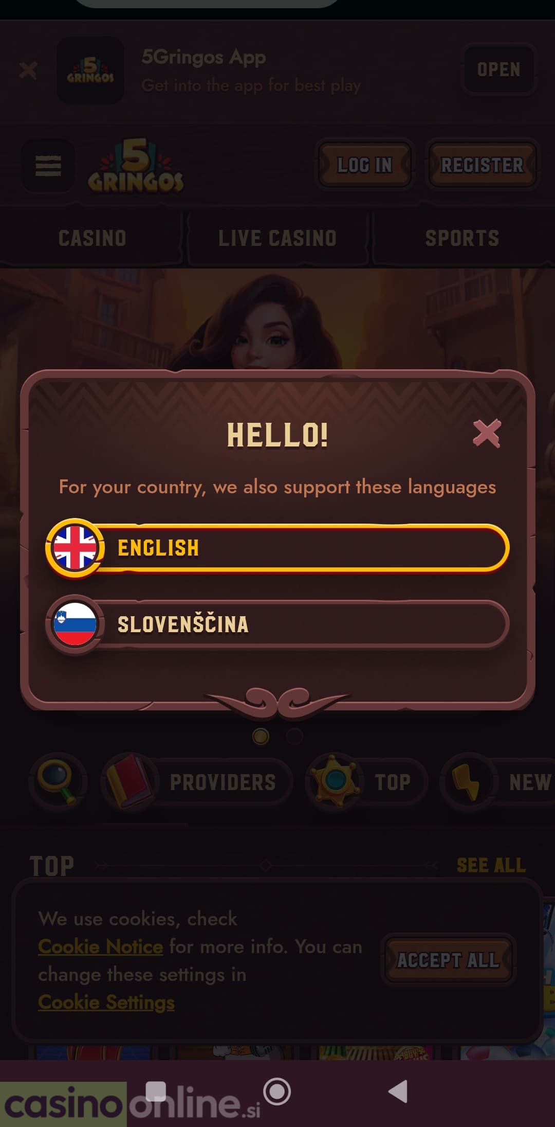 Jezikovni izbor z angleščino in slovenščino